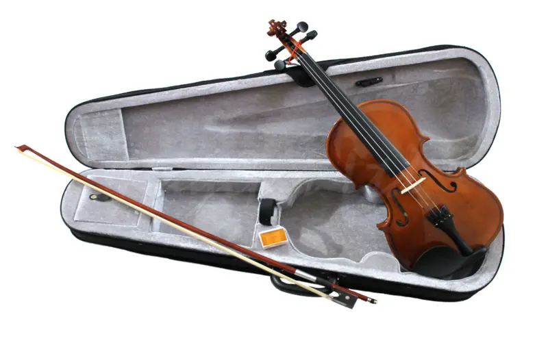 Beginner Violin Outfit Package – Includes Case And Essential Accessories 1