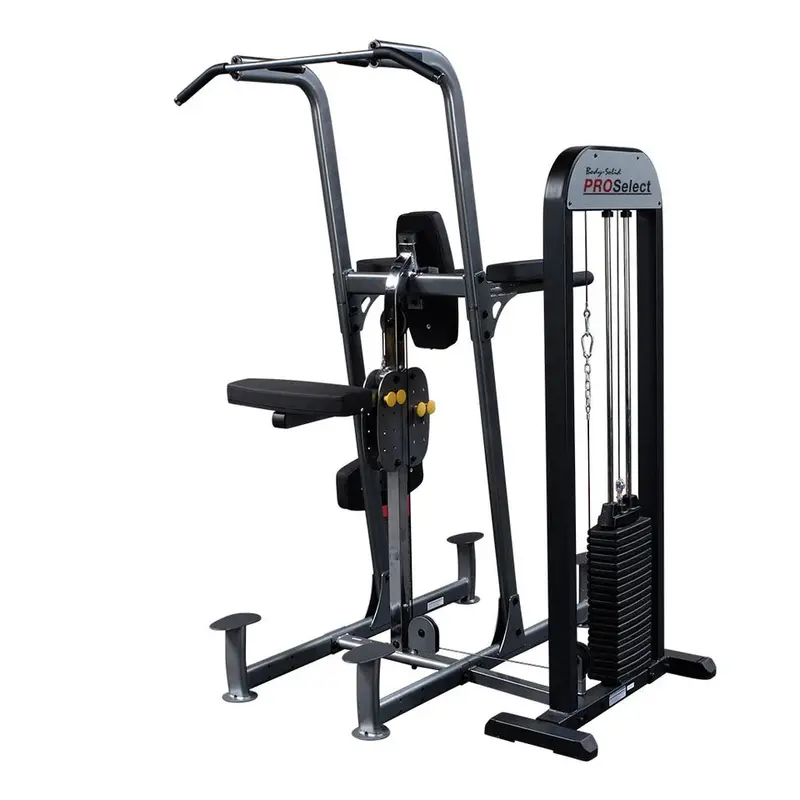 Body-Solid Fcd-Stk Weight-Assisted Chin-Up & Dip Station – Dual-Function 1