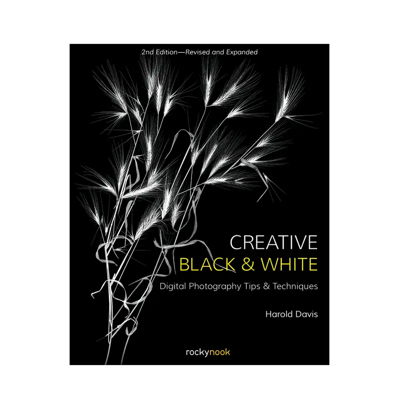 Creative Black And White: Digital Photography Techniques And Artistic Insights 1