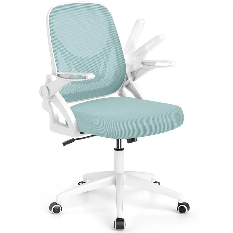 Ergonomic Office Chair With Adjustable Lumbar Support And Flip-Up Armrests 1
