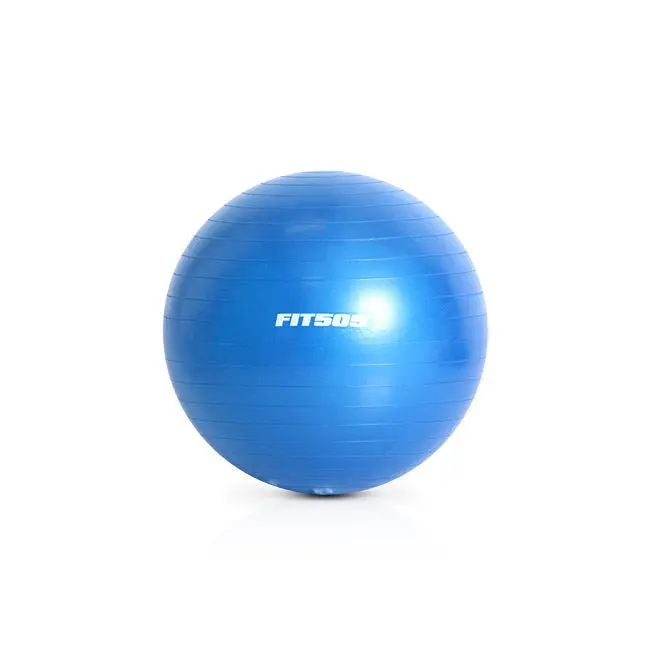 Fit505 Anti-Burst Stability Ball – Premium Exercise Balance Ball 1