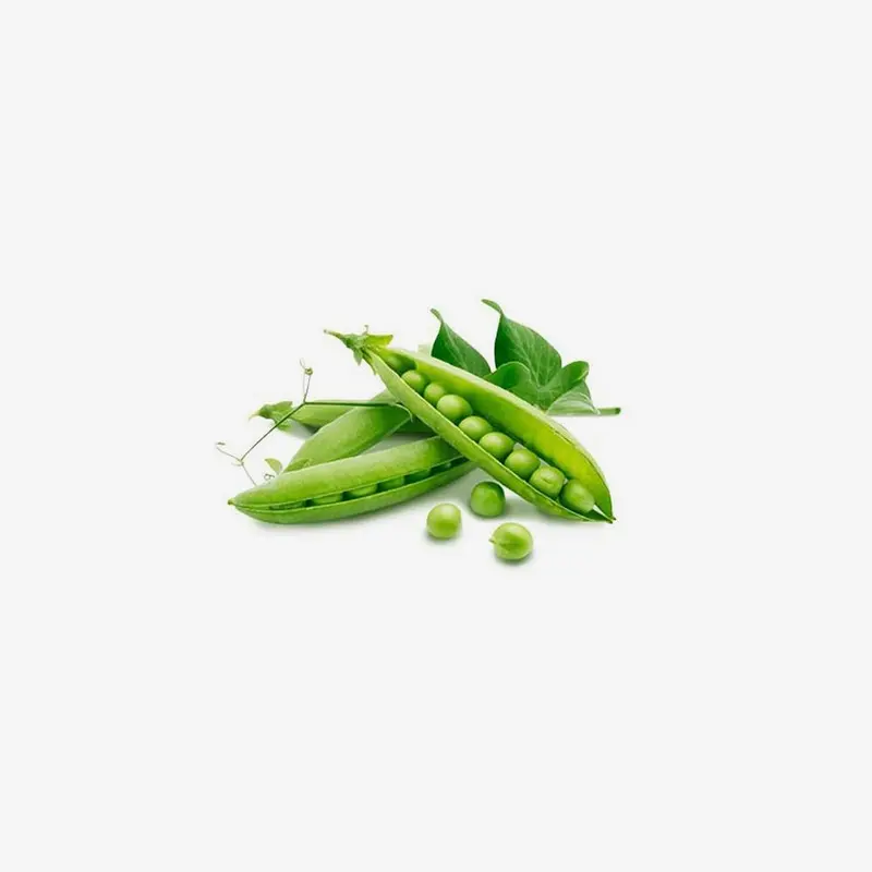 Fresh Haricot Beans — Snap & Cook Ready 1