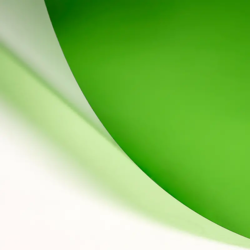 Lee 244 Plus Green Lighting Filter Roll – 48" Wide, Sold By The Foot 1