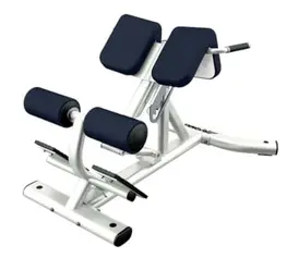 Life Fitness Back Extension Station – Commercial-Grade Strength Equipment 1