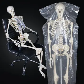 Life-Size Human Skeleton Model – 1.8M Anatomical Display On Sturdy Stand 1