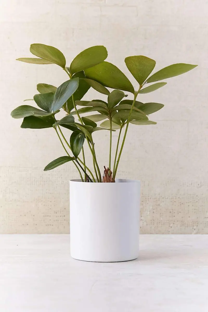 Modern Modular Metal Planter For Indoor Plants 1