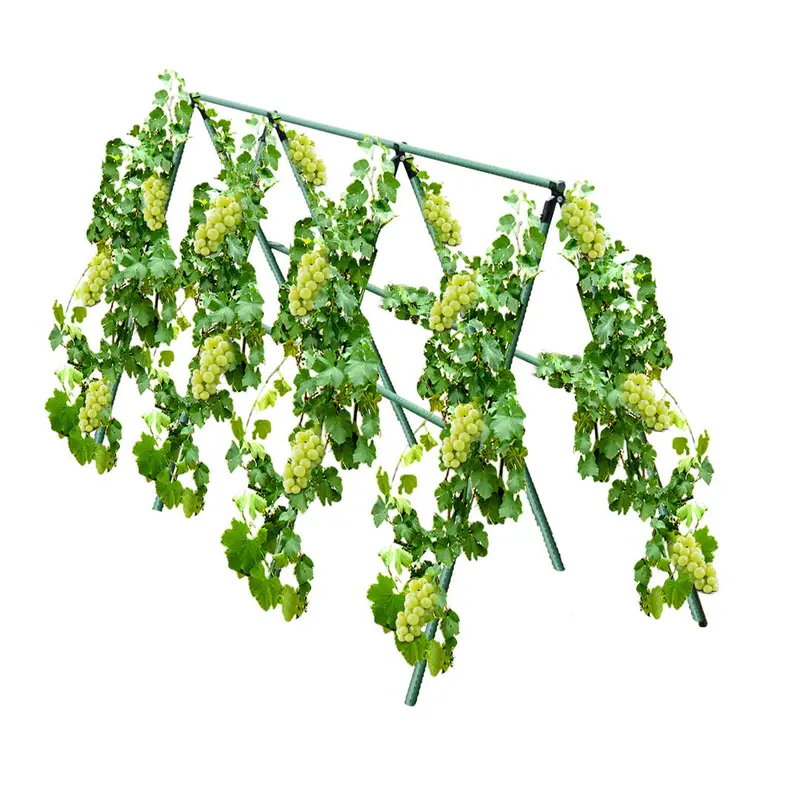 Soga Adjustable 120Cm Plant Support Frame – Trellis For Climbing Vines, Tomatoes, Peas, And Ornamental Flowers 1