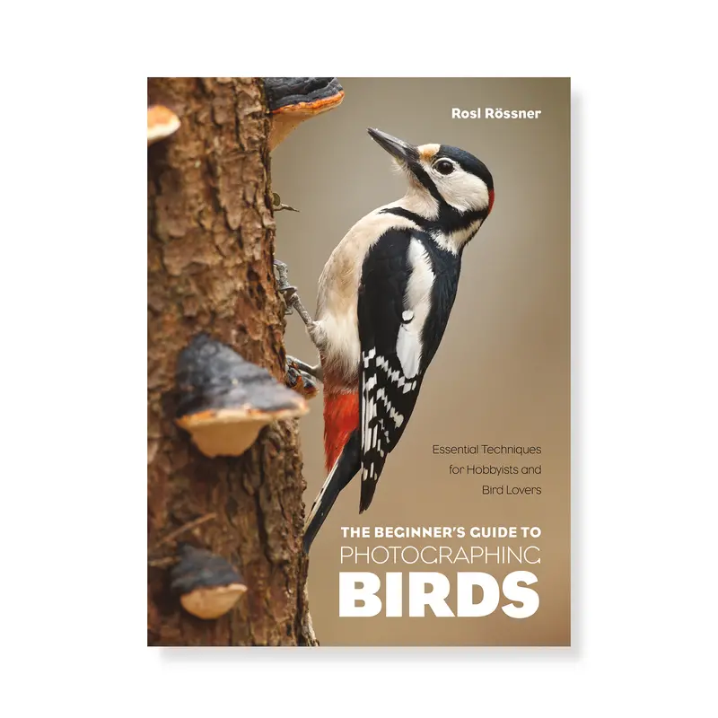 The Beginner’S Guide To Bird Photography: Practical Techniques For Nature Enthusiasts 1