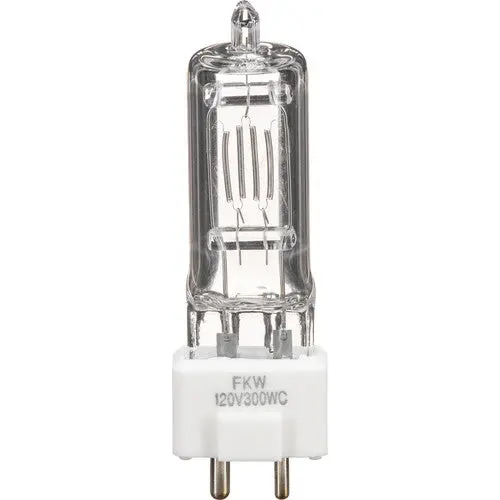 Ushio Fkw 300W / 120V Tungsten Photoflood Bulb 1