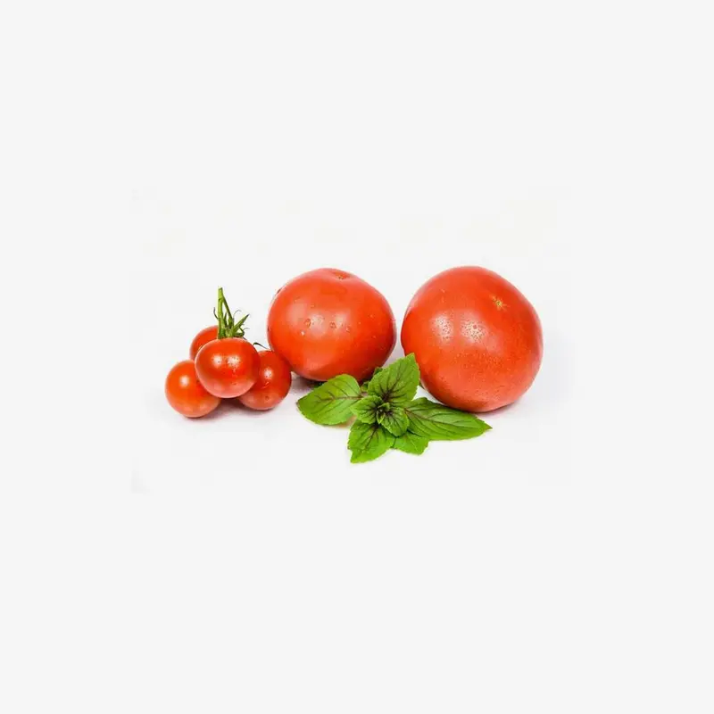 Vine-Ripened Fresh Tomato Variety 1