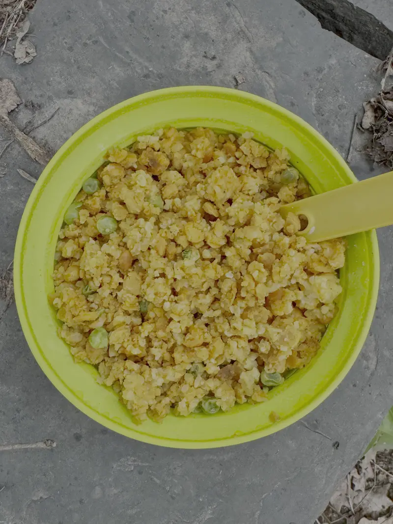 Wild Mountain Eats Vegan Tikka Masala Ready-To-Eat Meal 1